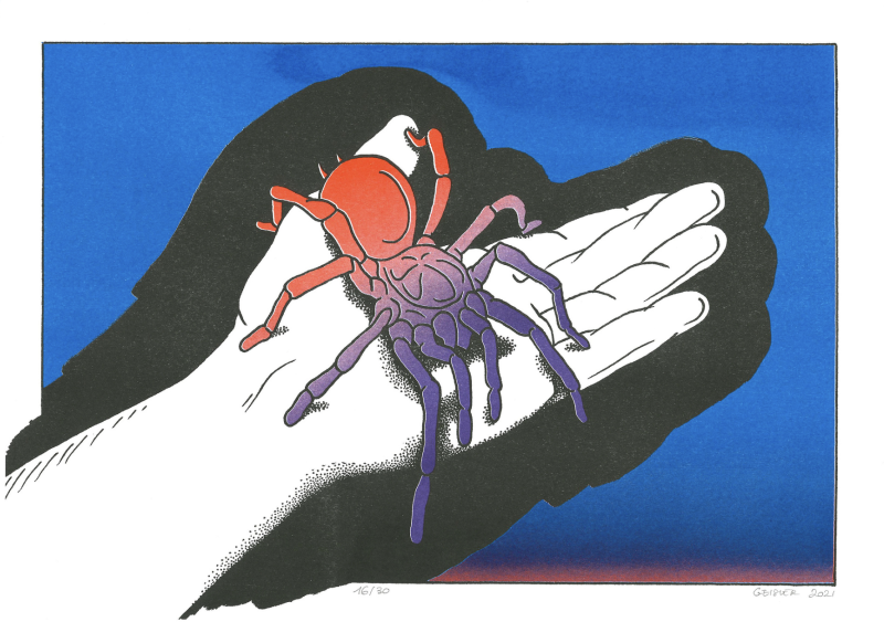 Sérigraphie « Mygale » de Daphné Geisler
